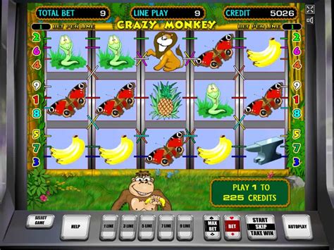 Crazy Monkey Slot - Play Online